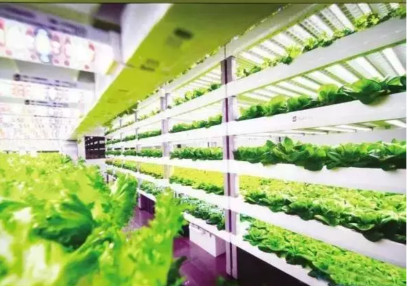 南京諾爾迅亮化，照明亮化工程